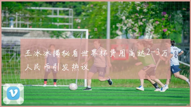 王冰冰揭秘看世界杯费用高达2-3万人民币引发热议